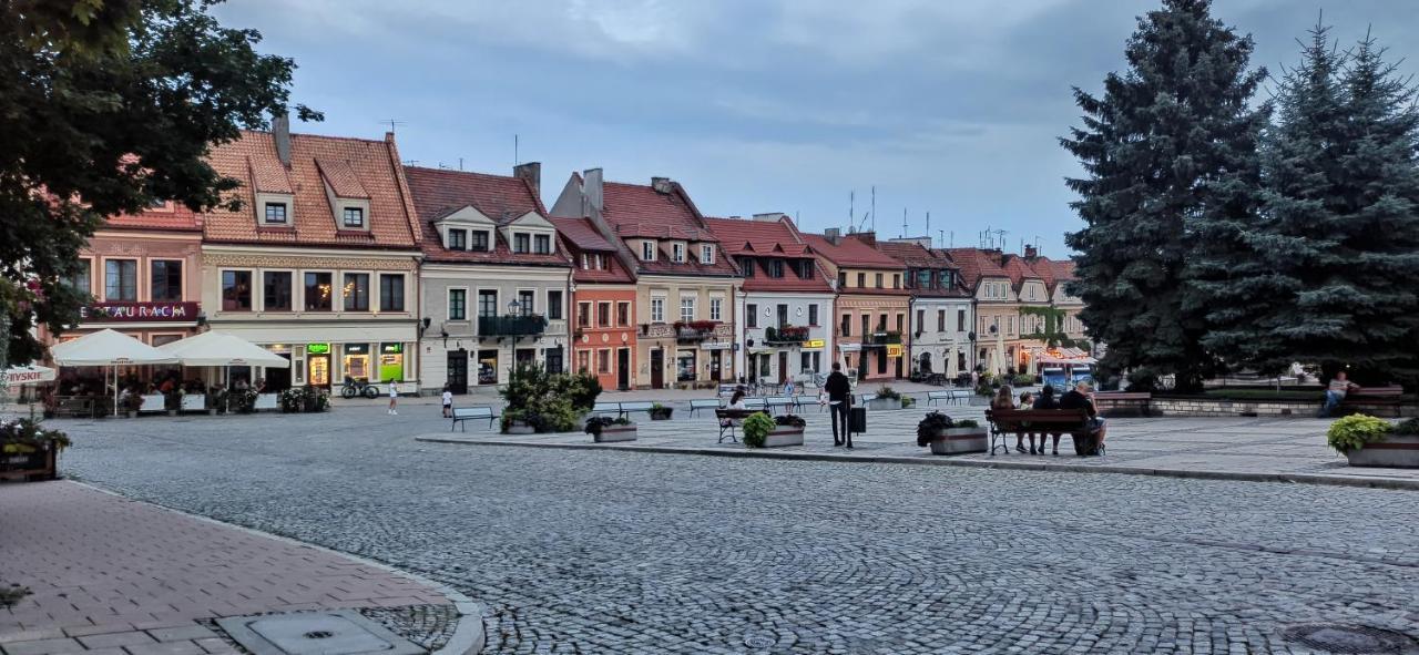 Blue_Loft Apartment Sandomierz Exterior foto
