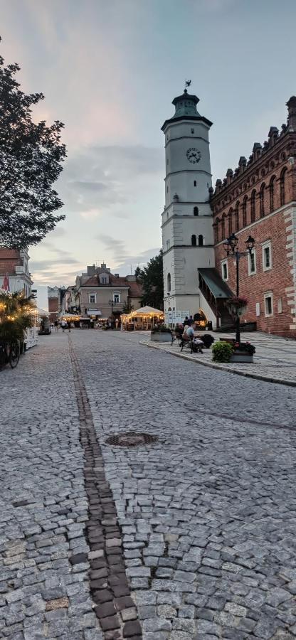 Blue_Loft Apartment Sandomierz Exterior foto